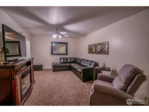 107 Rose Ct, Windsor, CO 80550 photo 21