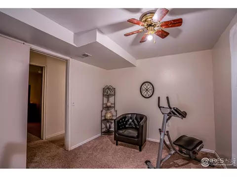 107 Rose Ct, Windsor, CO 80550 photo 28