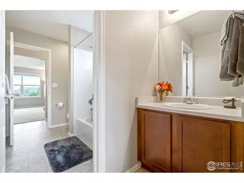 2086 Bayfront Dr, Windsor, CO 80550 photo 21