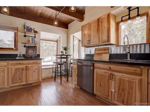 1652 Woodside Dr, Pine, CO 80470 photo 11