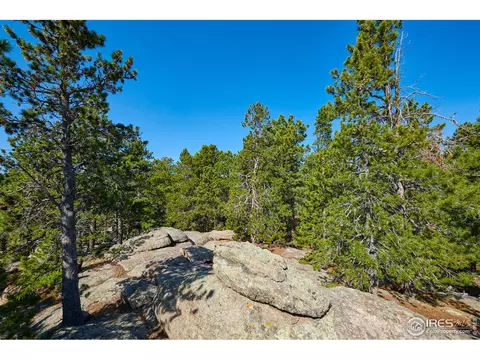 125 Ranch Rd, Ward, CO 80481 photo 27