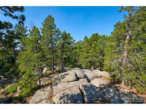125 Ranch Rd, Ward, CO 80481 photo 28