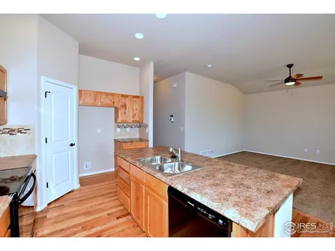 1310 Chamois Dr, Severance, CO 80550 photo 16