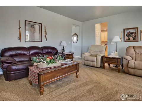 30133 E 165th Ave, Brighton, CO 80603 photo 14