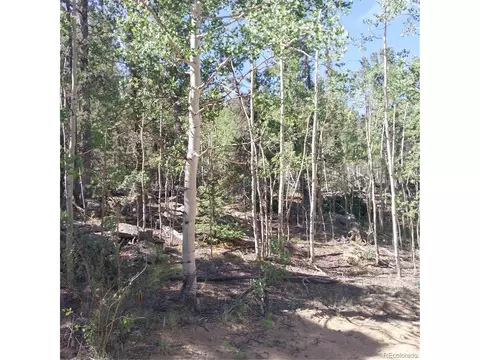 496 Houma Way, Como, CO 80432 photo 17