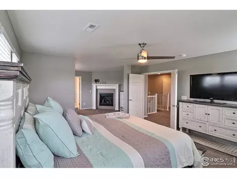 5848 Connor St, Timnath, CO 80547 photo 28