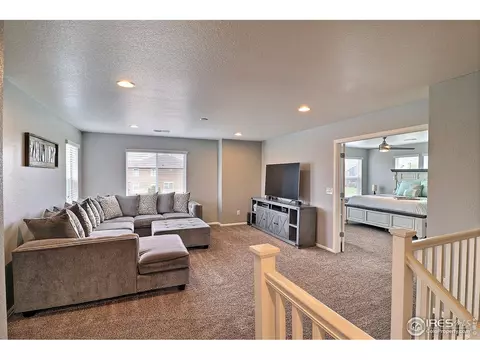 5848 Connor St, Timnath, CO 80547 photo 25