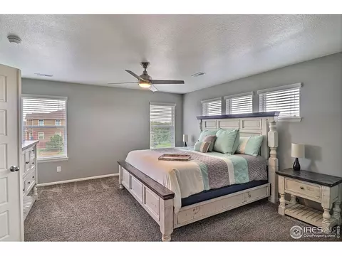 5848 Connor St, Timnath, CO 80547 photo 30