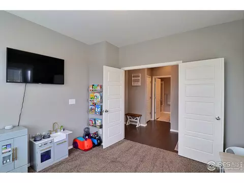 5848 Connor St, Timnath, CO 80547 photo 19
