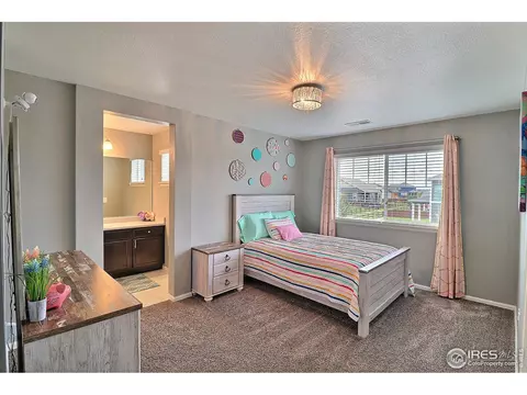 5848 Connor St, Timnath, CO 80547 photo 34