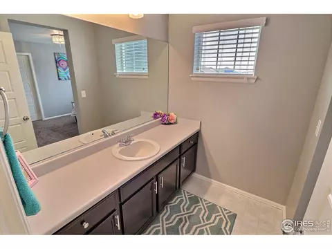 5848 Connor St, Timnath, CO 80547 photo 36