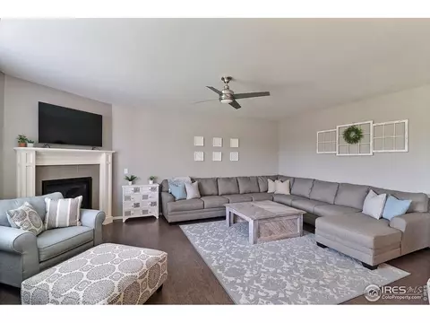 5848 Connor St, Timnath, CO 80547 photo 10