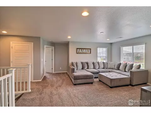 5848 Connor St, Timnath, CO 80547 photo 26