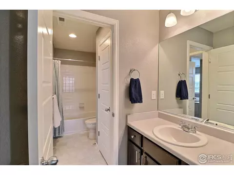 5848 Connor St, Timnath, CO 80547 photo 35