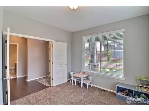 5848 Connor St, Timnath, CO 80547 photo 20