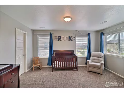 5848 Connor St, Timnath, CO 80547 photo 33