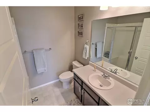 5848 Connor St, Timnath, CO 80547 photo 23