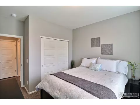 5848 Connor St, Timnath, CO 80547 photo 22