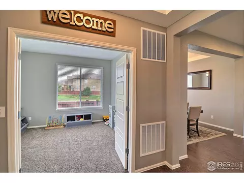 5848 Connor St, Timnath, CO 80547 photo 18