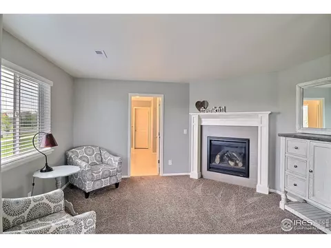 5848 Connor St, Timnath, CO 80547 photo 29