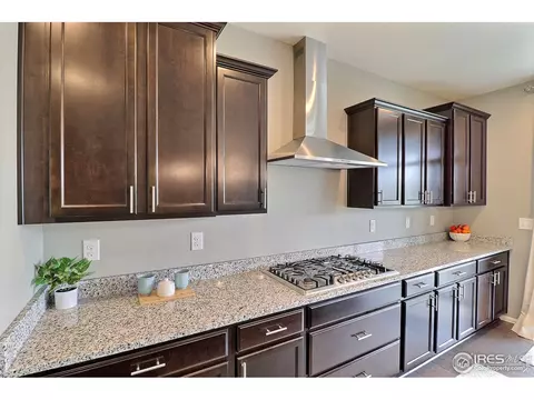 5848 Connor St, Timnath, CO 80547 photo 15