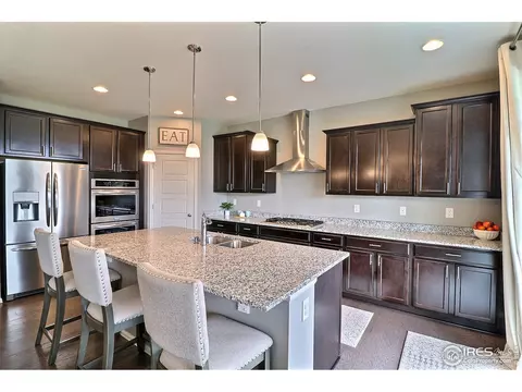 5848 Connor St, Timnath, CO 80547 photo 14