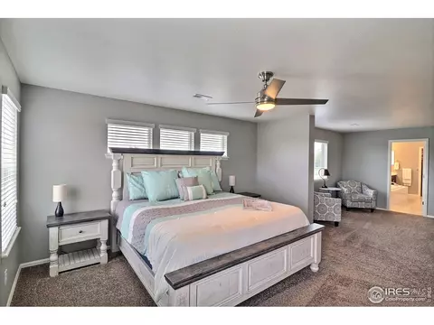 5848 Connor St, Timnath, CO 80547 photo 27