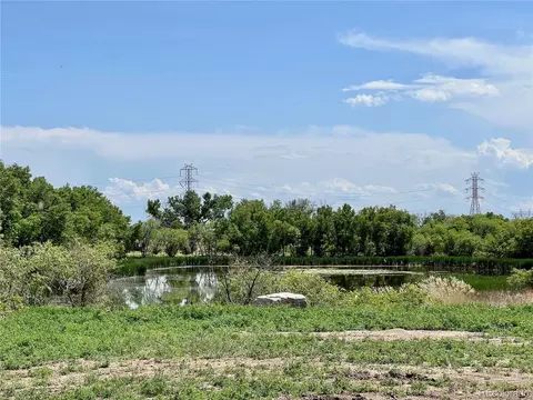 4178 E 94th Pl, Thornton, CO 80229 photo 39