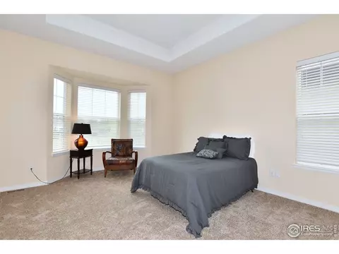 2036 Vineyard Dr, Windsor, CO 80550 photo 23