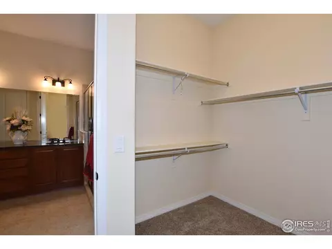 2036 Vineyard Dr, Windsor, CO 80550 photo 27