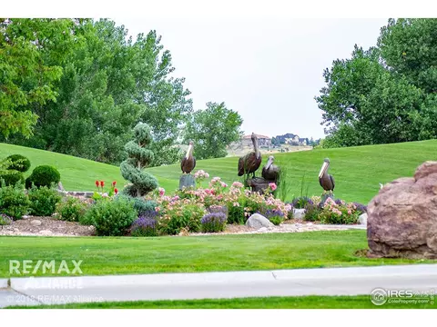 2036 Vineyard Dr, Windsor, CO 80550 photo 40