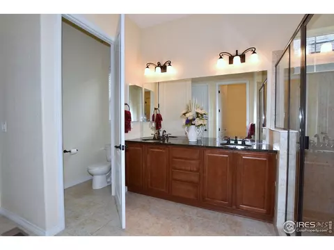 2036 Vineyard Dr, Windsor, CO 80550 photo 26