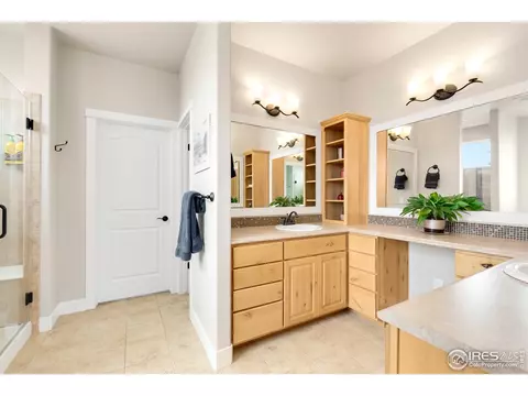 812 Corn Stalk Dr, Windsor, CO 80550 photo 21