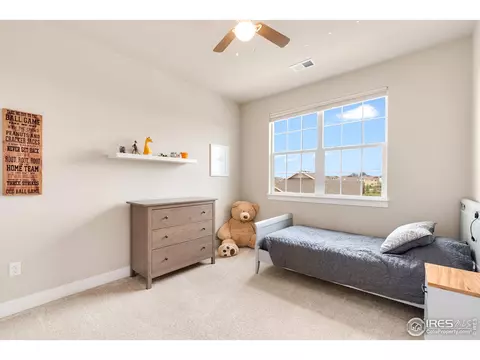 812 Corn Stalk Dr, Windsor, CO 80550 photo 25