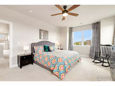 812 Corn Stalk Dr, Windsor, CO 80550 photo 18