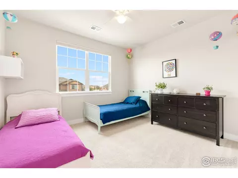812 Corn Stalk Dr, Windsor, CO 80550 photo 24