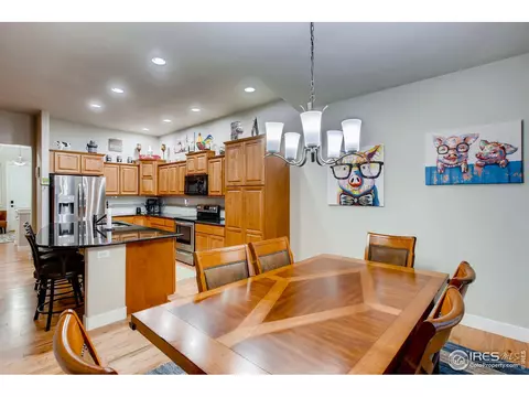842 Corn Stalk Dr, Windsor, CO 80550 photo 12