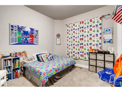 842 Corn Stalk Dr, Windsor, CO 80550 photo 20