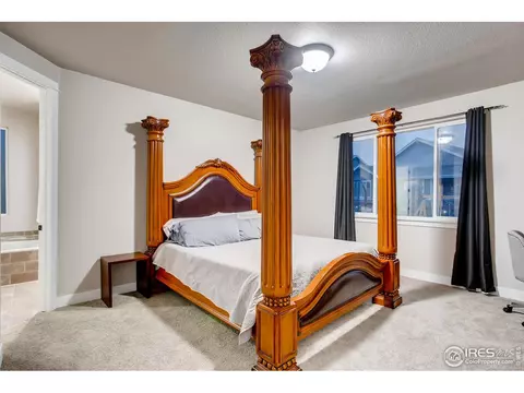 842 Corn Stalk Dr, Windsor, CO 80550 photo 17