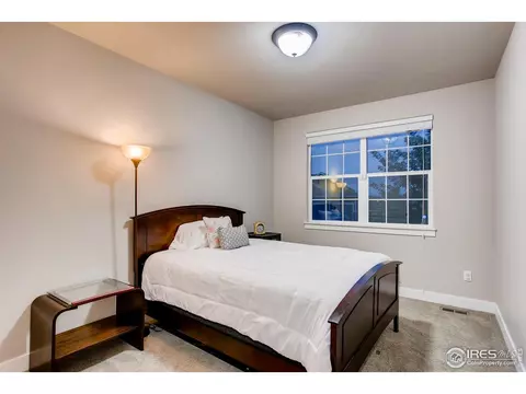 842 Corn Stalk Dr, Windsor, CO 80550 photo 18