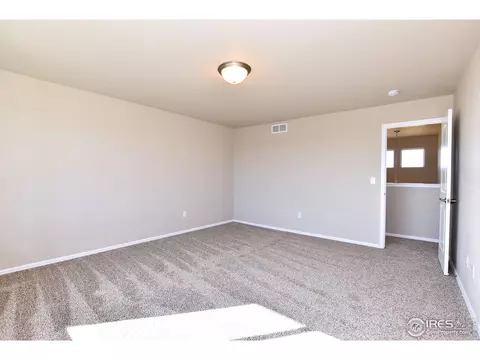 1309 Chamois Dr, Severance, CO 80550 photo 23