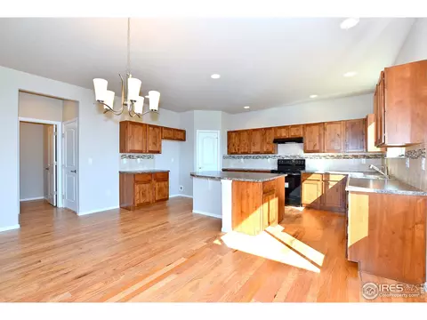 1309 Chamois Dr, Severance, CO 80550 photo 10