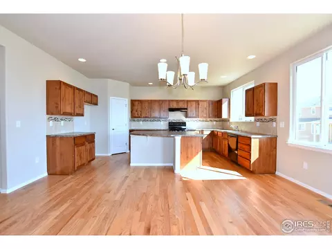 1309 Chamois Dr, Severance, CO 80550 photo 11