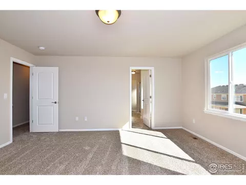 1309 Chamois Dr, Severance, CO 80550 photo 21