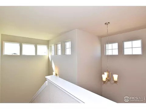 1309 Chamois Dr, Severance, CO 80550 photo 18