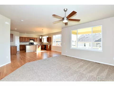 1309 Chamois Dr, Severance, CO 80550 photo 8