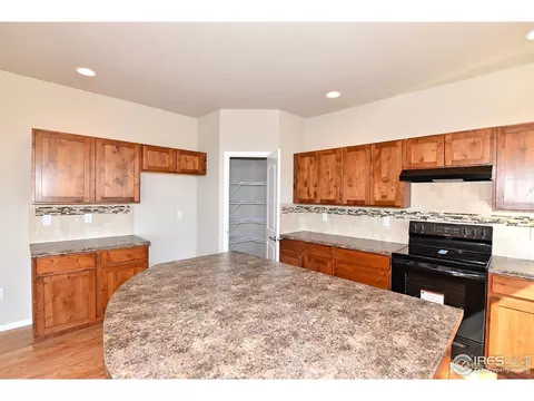1309 Chamois Dr, Severance, CO 80550 photo 13
