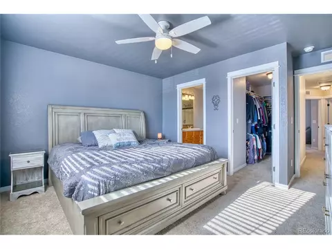 501 Dakota Ct, Windsor, CO 80550 photo 13