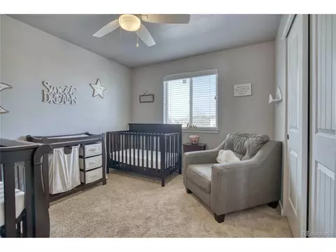 501 Dakota Ct, Windsor, CO 80550 photo 15