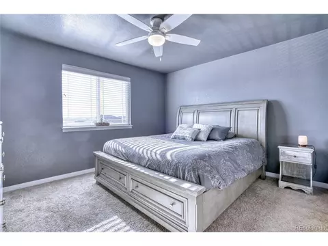 501 Dakota Ct, Windsor, CO 80550 photo 12